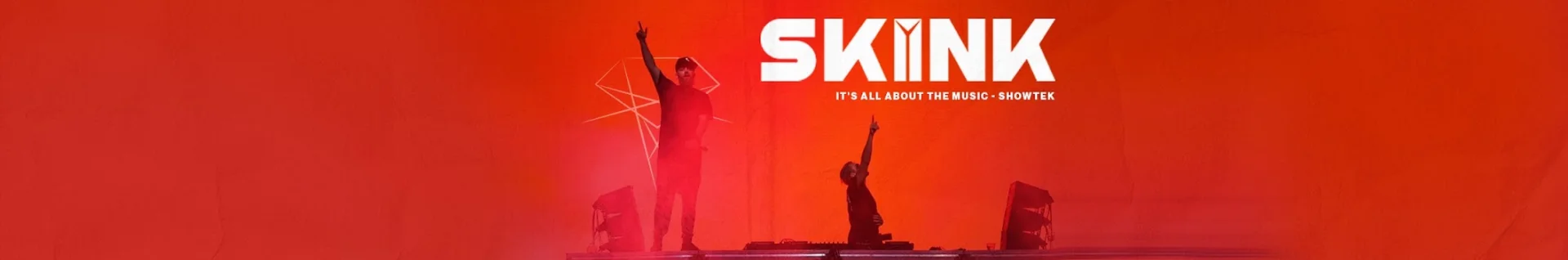 د SKINK Records چینل بنر